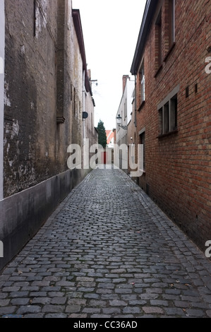 Street, boutique, building ruelle Bruges Belgique Banque D'Images