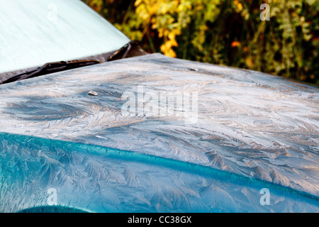 Voiture avec le gel à motifs de plumes Banque D'Images