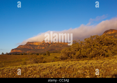 Tôt le matin voir de Rawnsley Bluff et Wilpena Pound dans la chaîne de Flinders en Australie du Sud, Australie outback Banque D'Images