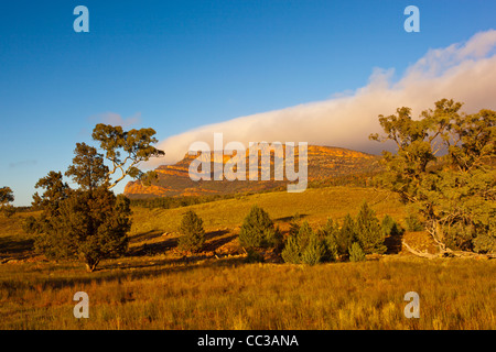 Tôt le matin voir de Rawnsley Bluff dans la chaîne de Flinders en Australie du Sud, Australie outback Banque D'Images