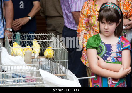 Oiseaux à vendre Dimanche, marché Plaza Nuevo, Casco Viejo, Bilbao, Espagne Banque D'Images