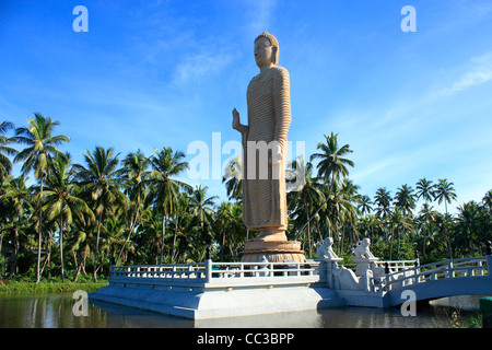 Statue de Bouddha à Peraliya Hikkaduwa, Sri Lanka Asie Banque D'Images