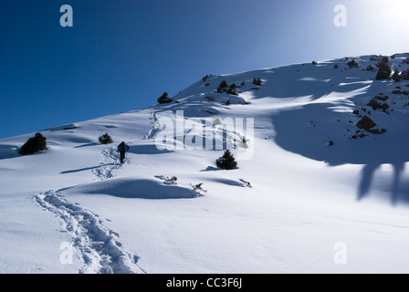 Backpacker en hiver montagne Banque D'Images