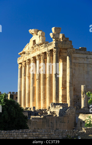 Liban, Baalbek, Temple de Bacchus Banque D'Images