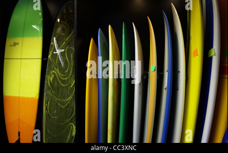 Une rangée de planches en vente dans un magasin de surf, Swansea, Royaume-Uni Banque D'Images