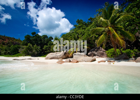 Paradise beach Seychelles Praslin Banque D'Images