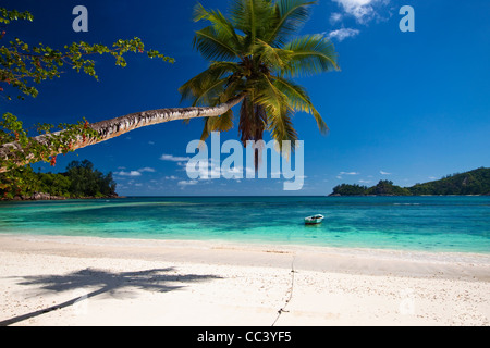 Anse Gaulettes beach, Baie Lazare, l'île de Mahé, Seychelles Banque D'Images