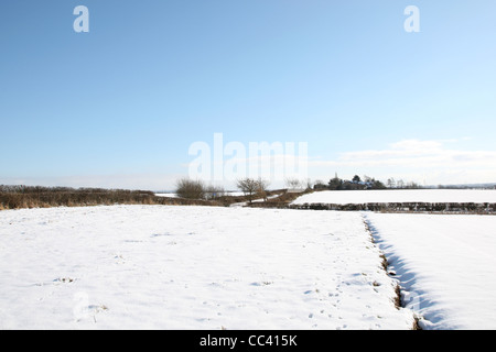 Domaines couverts dans la neige Cotswolds Oxfordshire Banque D'Images