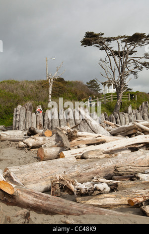 Belle plage à Kalaloch Lodge sur la côte Olympique, Washington Banque D'Images