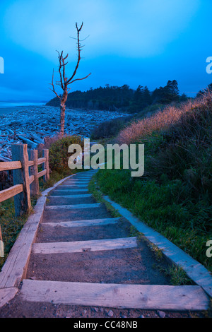 Domaine belle plage au crépuscule, Kalaloch Lodge sur la côte Olympique, Washington Banque D'Images