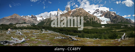 Vue sur le Mont Fitz Roy dans les Andes, Patagonie, Argentine Banque D'Images