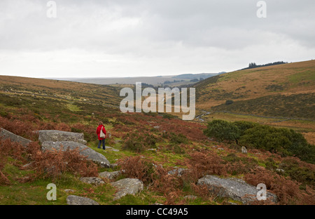 Le parc national du Dartmoor autour de Wistman's Wood Banque D'Images