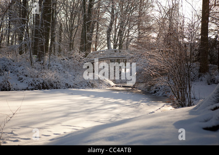 Lac gelé avec un pont à Walburgh Park à Sint-Niklaas, Belgique Banque D'Images