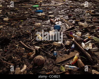 Vaste accumulation de détritus et de débris flottants échoués sur les quais de Salford Quays avec de vieux football et billes en plastique et des bouteilles Banque D'Images