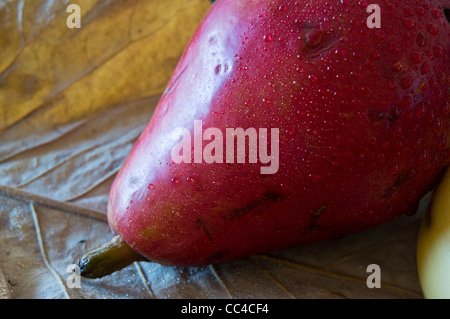 Poires Anjou rouges close up on leaf Banque D'Images