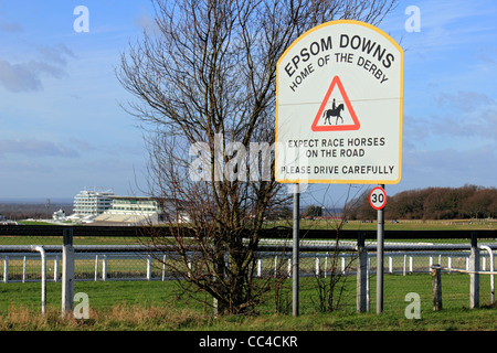 Accueil du Derby Epsom Downs, Surrey England UK Banque D'Images