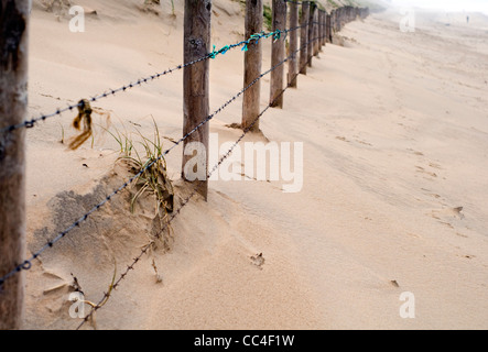 Un fil barbelé sur une plage de sable fin Banque D'Images