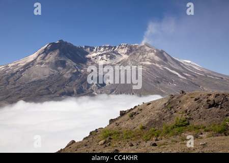 Mont St Helens et le brouillard-remplie North Fork Toutle River Valley dans le Mont St Hélène Monument Volcanique National. Banque D'Images