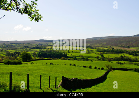 St John's, dans la vallée est une vallée glaciaire dans le Parc National de Lake District, Cumbria, Angleterre. Banque D'Images