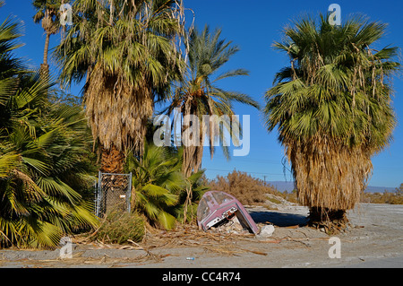 La mer de Salton, maintenant presque une ville fantôme, avec dead poisson Tilapia dansant le long du bord de la lac salin, Desert Resort abandonné. Banque D'Images