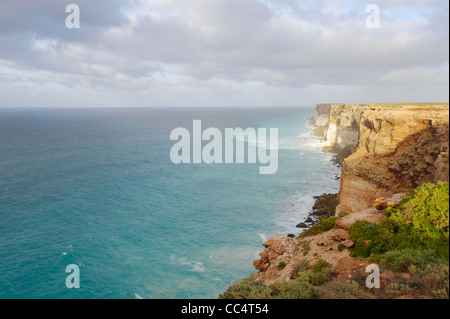 Portrait de falaises Bunda, Grande Baie australienne Marine Park, Australie du Sud, Australie Banque D'Images