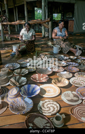 Afrique Botswana Tuba Tree-Women le tissage des paniers, des corbeilles montrant en premier plan Banque D'Images