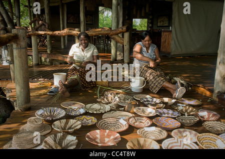 Afrique Botswana Tuba Tree-Women le tissage des paniers, des corbeilles montrant en premier plan Banque D'Images