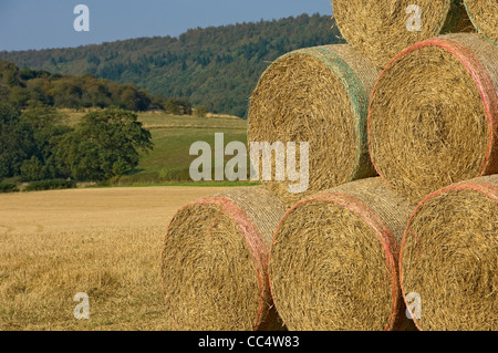 Gros plan de balles empilées de foin de paille dans un champ agricole après récolte en automne North Yorkshire Angleterre Royaume-Uni GB Grande-Bretagne Banque D'Images