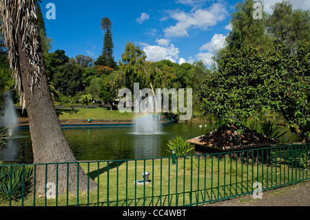 Fontaine Fontaines et lac dans les jardins publics Santa Catarina Parc Funchal Madère Portugal Europe Banque D'Images