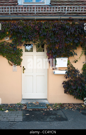 Porte d'une maison couverte de lierre Banque D'Images