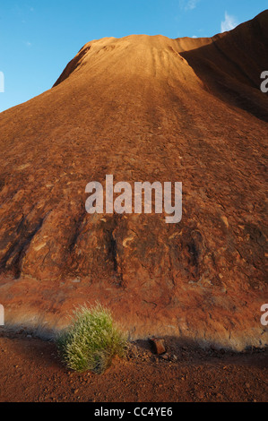 Ayers Rock, Close-up de la formation rocheuse d'Uluru, le Parc National d'Uluru-Kata Tjuta, Territoire du Nord, Australie Banque D'Images