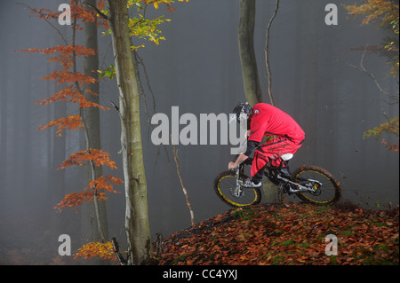 Une descente en vélo de montagne sur les coins des feuilles tombées sur une crête dans la forêt de Dean sur un matin d'automne brumeux. Banque D'Images