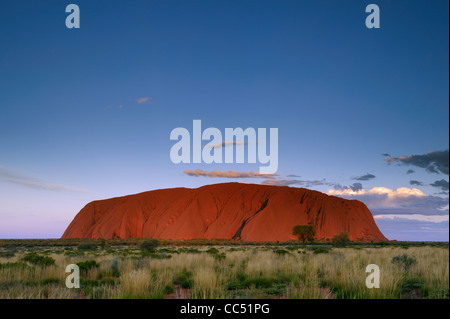 Twilight à Uluru, Dusk falls sur Ayers Rock, le Parc National d'Uluru-Kata Tjuta, Territoire du Nord, Australie Banque D'Images