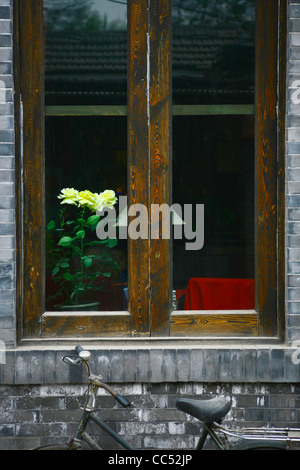 Fleurs en pot derrière fenêtre, Sablier Bar à café, Nanluoguxiang, Beijing, Chine Banque D'Images