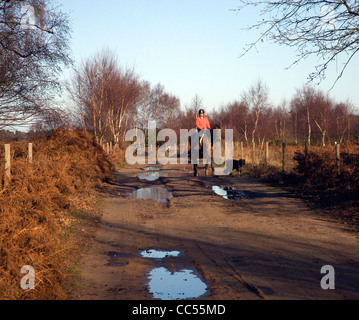 L'équitation sur Sutton Heath, Suffolk, Angleterre Banque D'Images