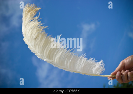 Photographie par Roy Riley Banque D'Images