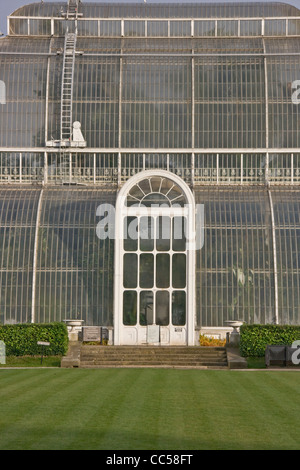 Bâtiment victorien répertorié 1 cast et fer forgé Maison tempérée par Decimus Burton Royal Botanic Gardens Kew London angleterre Europe Banque D'Images