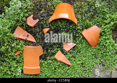 Pot de plante de jardin en terre cuite cassé dans l'esprit vert-votre-propre-entreprise ou les larmes de bébé, Soleirolia soleirolii (syn. Helxine soleirolii). Banque D'Images