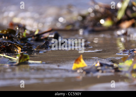 Plage d’automne Banque D'Images