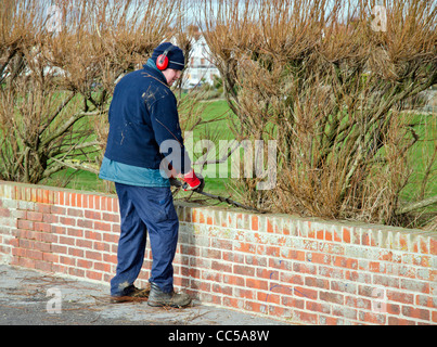 Fraisage Workman une haie en hiver au Royaume-Uni. Banque D'Images