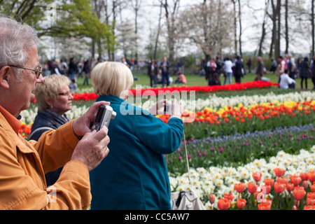 Les visiteurs du Keukenhof photo de fleurs annuelles qui dispose de 7 millions de bulbes plantés chaque année Banque D'Images