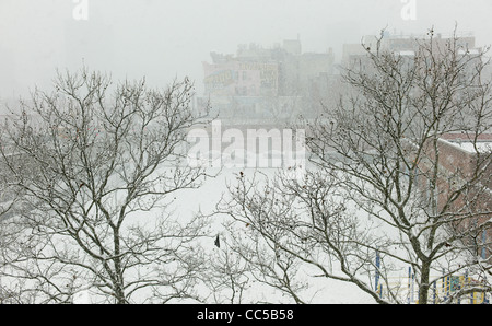 26 janvier 2011 : La neige vu tombant dans le Lower East Side de Manhattan à New York City, USA. Banque D'Images