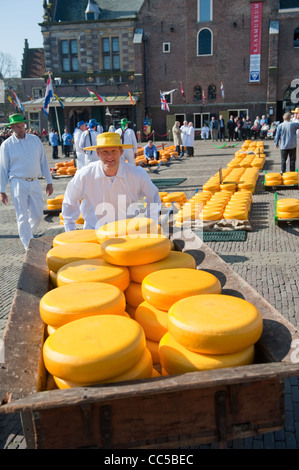 Marché aux fromages à Alkmaar transporteur Banque D'Images