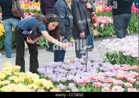 Woman photographing fleurs à Keukenhof Gardens Banque D'Images