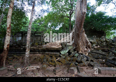 Beng Mealea, le temple dans la région d'Angkor, Siem Reap, Cambodge, Asie Banque D'Images