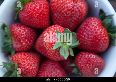 Un bol de fraises anglais rouges frais Banque D'Images