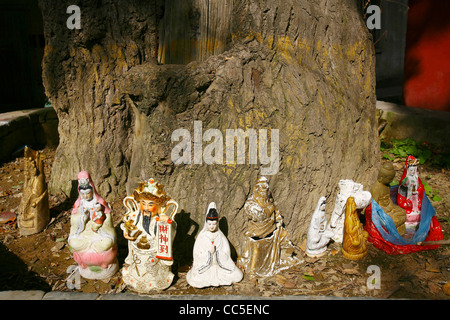 Statues de Bouddha sous l'arbre, ancienne ville Caiguo, Shangcai, Henan, Chine Banque D'Images