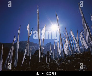 La prière d'un drapeau blanc sur la colline, Hailuogou Glacier National Forest Park, Garze, Shanghai , Chine Banque D'Images