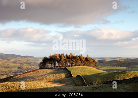 L'ancienne colline de tumulus dans Kirkcarrion Lunedale et la vue au nord-est à travers le comté de Durham Tees Valley Teesdale UK Banque D'Images