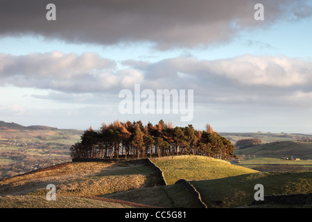 L'ancienne colline de tumulus dans Kirkcarrion Lunedale et la vue au nord-est à travers le comté de Durham Tees Valley Teesdale UK Banque D'Images